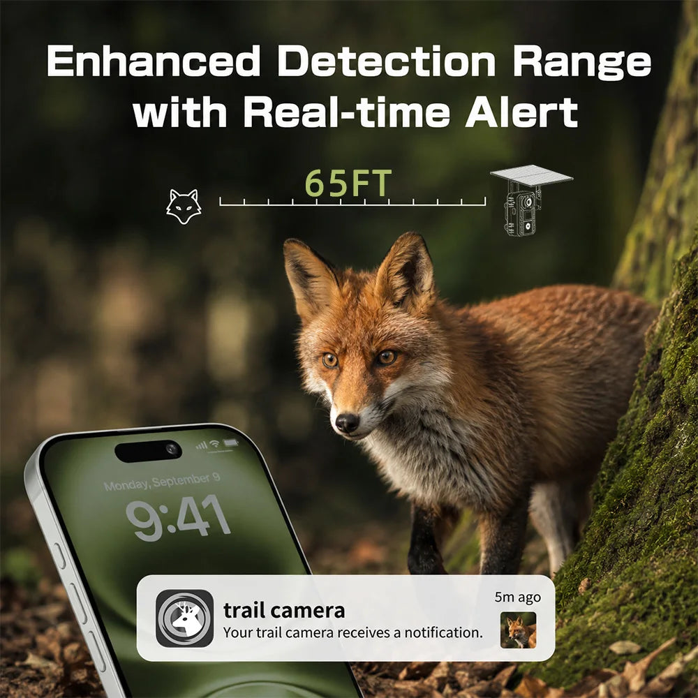 EU 4G Cellular 2K Battery Solar PIR Motion Activated Wildlife Hunting Trail Camera IP65 Outdoor Night Vision No Red Exposure