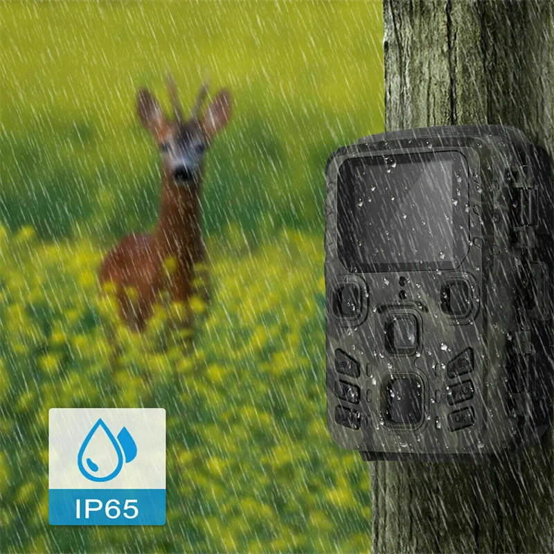 Suntekcam 20MP 1080P Wireless Hunting Camera Trail Outdoor Night Vision Waterproof IP65 Photo Trap Mini301 for Wildlife